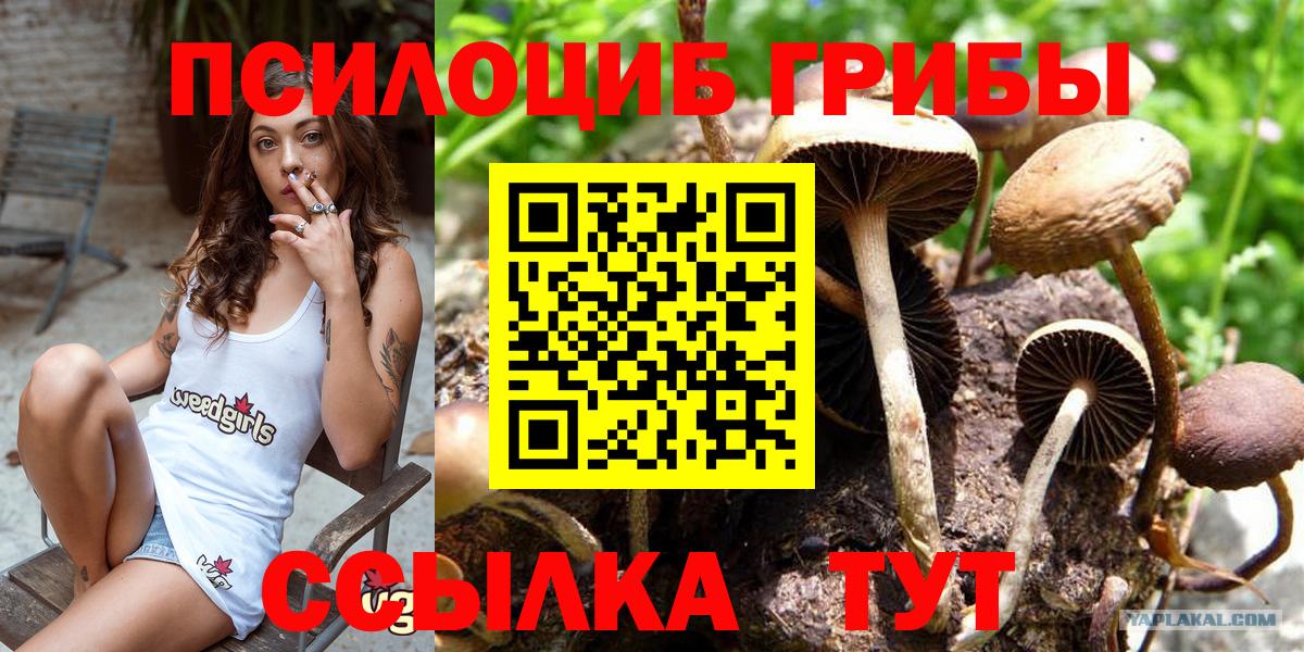 Псилоцибиновые грибы прущие грибы  Вход с VPN  Псилоцибиновые грибы MAGIC MUSHROOMS  Семилуки 