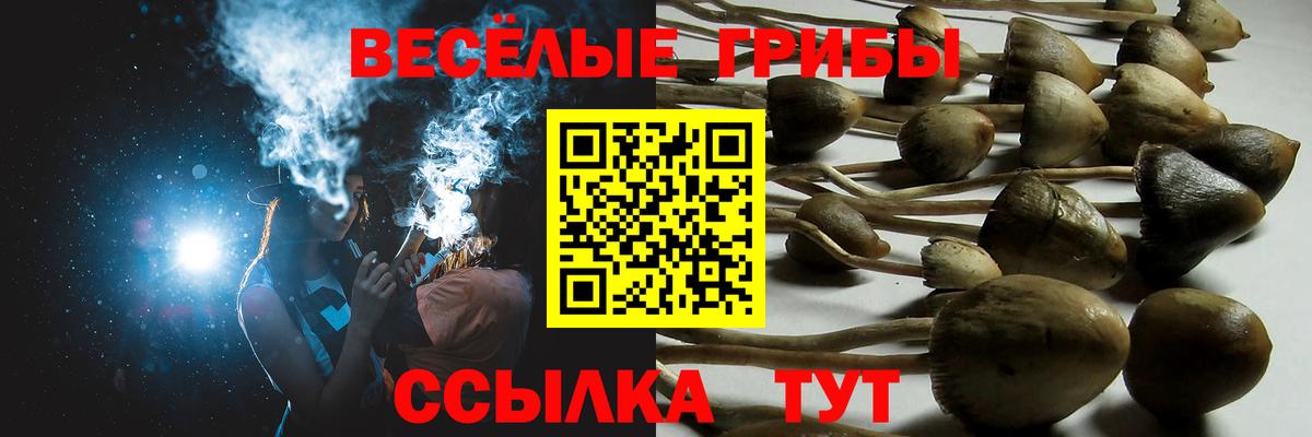 Псилоцибиновые грибы Psilocybe Семилуки